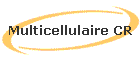 Multicellulaire CR